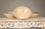Set of Three Country Style Vintage Woven Reed Decorative Bowls in Cream Tones For Sale - Image 11 of 12