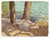 This gouache painting captures a serene moment at Palmer Lake, showcasing the gentle interplay of light and shadow on the...
