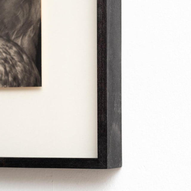 Gold Albarran & Cabrera, Mouth of Krishna, Photographic Print, 2010s For Sale - Image 8 of 12