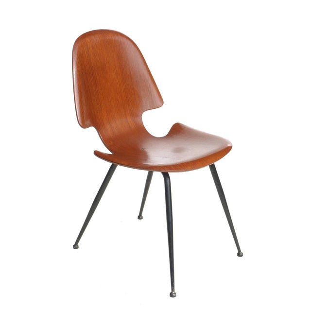 Wood Italian Plywood Dining Chair by Carlo Ratti for Compensati Curvati, 1950s For Sale - Image 7 of 7