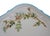 Antique Botanical 1870's Tête-À-Tête Tea Set Royal Worcester England Turquoise Rim Aesthetic Period - Set of 7 For Sale - Image 9 of 14