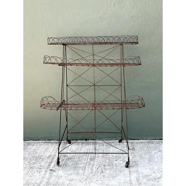 Vintage Three-Tier Wire Plant Stand For Sale - Image 10 of 12