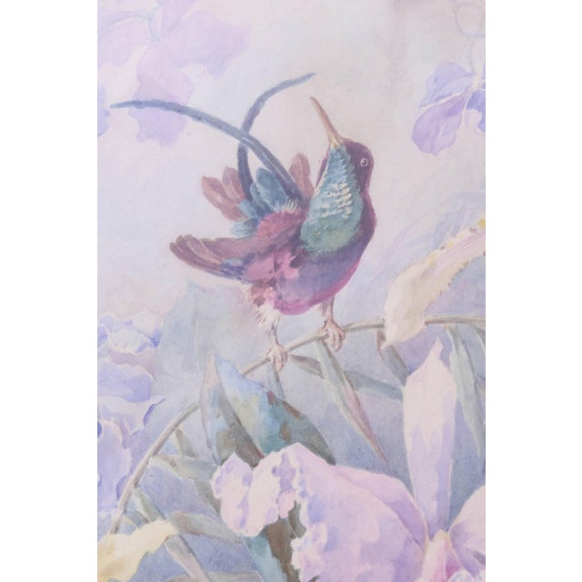 Pink Exquisite Orchid & Hummingbird Watercolor by William Morley, Antique Oversize For Sale - Image 8 of 10