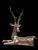 Hollywood Regency Polished Brass Stag attributed to Sarreid, 1960 For Sale - Image 9 of 9
