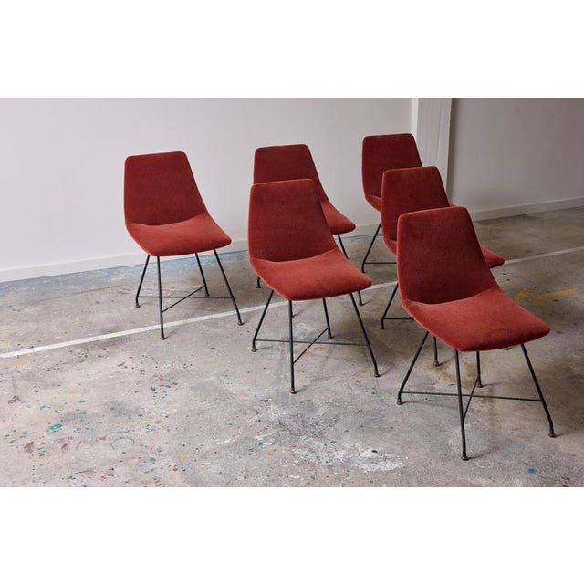 Aster Chairs by Augusto Bozzi for Saporiti, 1958, Set of 6 For Sale - Image 11 of 13