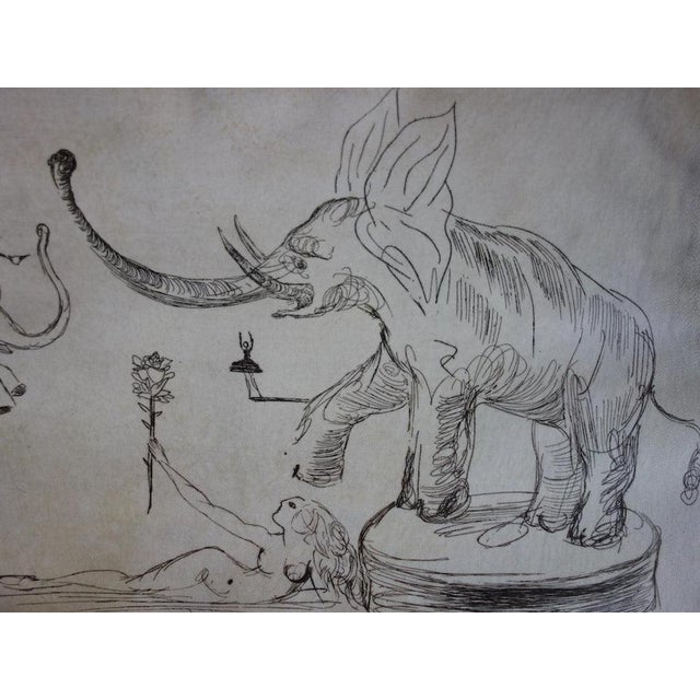 Salvador Dali, Les éléphants, Nude, Etching For Sale - Image 4 of 9