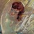 Wood Robert Falcucci Female Nude Oil Painting For Sale - Image 7 of 8