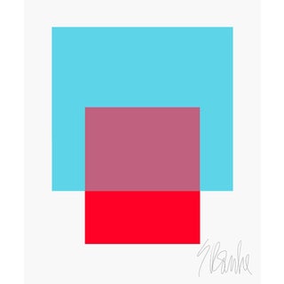 The Interaction of Turquoise and Red Fine Art Print 45" X 55" by Liz Roache For Sale