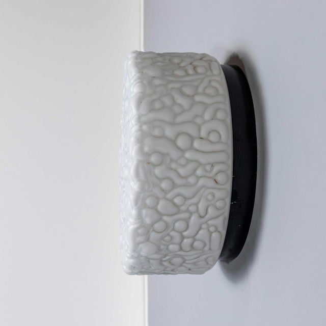 Vintage Czech Opaline Organic Wall Lamp, 1950s For Sale - Image 9 of 11