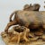 Carved Statue of a Bull, Black Forest, 1900 For Sale - Image 5 of 8