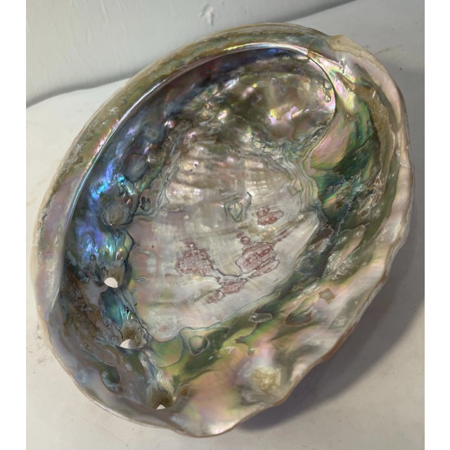 Really pretty vintage abalone shell. Use as a trinket dish or just a decorative item.