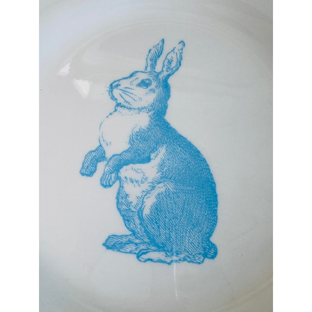 Royal Stafford Set of 6, English Bunny Rabbit Plates For Sale - Image 4 of 7