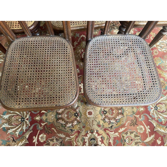 Chairs in Caning from Thonet, Set of 5 For Sale - Image 3 of 11