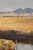Wood Painting of Mt. Diablo by Ian McKibban (Born 1929) For Sale - Image 7 of 13