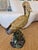 Earthenware Garden Spoonbill Bird Sculpture For Sale - Image 4 of 7