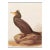 1966 Vintage Cottage Print "Double-Crested Cormorant" After John James Audubon For Sale