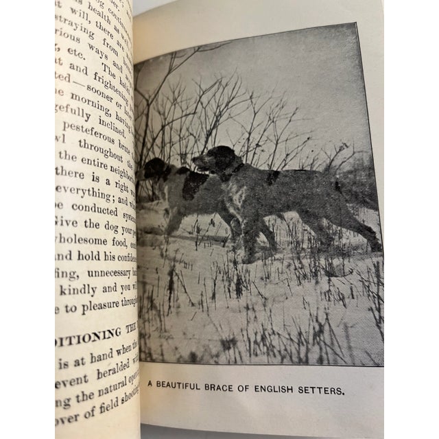 1930s Vintage Dogs Bunch Book Amateur Trainer Books Set of 2 For Sale - Image 9 of 13