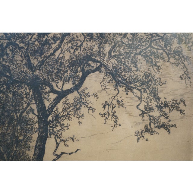 Antique Hendrik Dirk Kruseman Van Elten Signed Tree Pond Landscape Etching 25" For Sale - Image 10 of 11