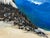 Coastal Beach Seascape Original Oil Painting, Signed For Sale - Image 9 of 12