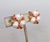 1950s Vintage 1959 Signed Crown Trifari Faux-Pearl & Cabochon Faux-Coral Clip Earrings-2 Pieces For Sale - Image 5 of 8