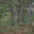 This atmospheric painting from the early 20th century is painted in oil on canvas and depicts a vast green forest...