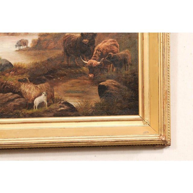 An English landscape oil painting in frame from the 19th century. This antique painting which depicts highland cattle and...