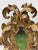 Gold Exuberant Antique Italian Carved Giltwood Reliquary -17th Century (Could Be Used as a Tabletop Mirror ) For Sale - Image 8 of 12