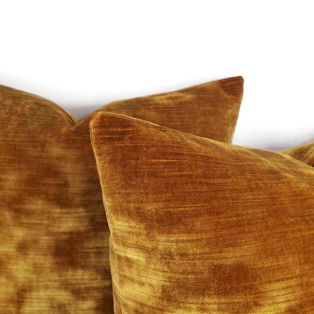 Shabby Chic Kravet Chic Velour in Antique Gold Velvet Pillow Cover - 20" X 20" Silky Plush Gold Velvet Cushion Case For Sale - Image 3 of 6