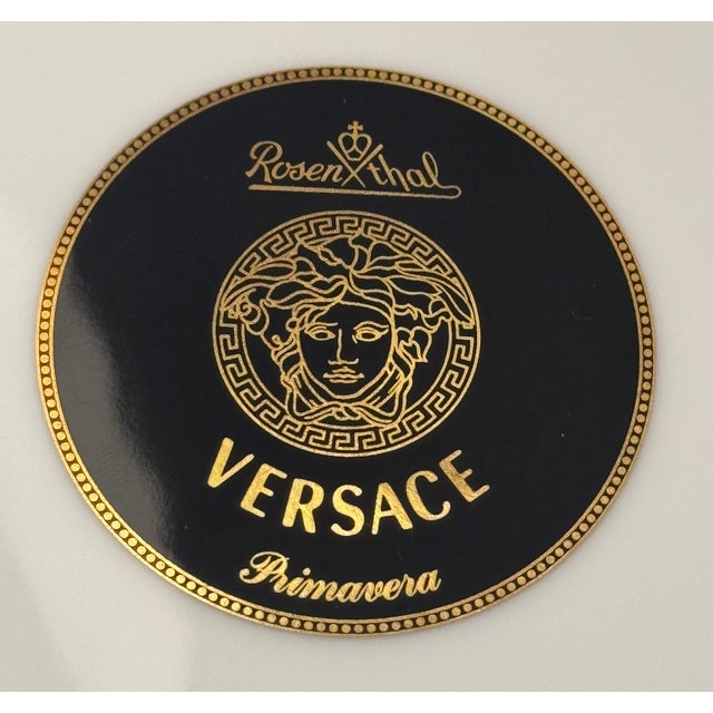 Ceramic Set of 4 Rosenthal Versace Primavera 7 1/8"Bread & Butter Plate Original Box For Sale - Image 7 of 9