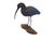 Realism Vintage Glossy Ibis Sculpture For Sale - Image 3 of 16
