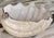 Pottery Barn Under the Sea Clam Chowder Bowl For Sale - Image 16 of 16