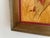 Vintage Pheasant Framed Art Roger Tory Peterson Cottage English Study Decor For Sale - Image 9 of 18