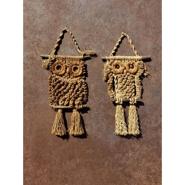 Tan Rustic Brutalist Owl Sculpture, France, 1970 For Sale - Image 8 of 9