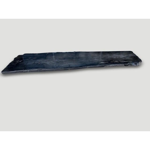 Andrianna Shamaris Exquisite High Quality Petrified Wood Dining Table Or Console For Sale - Image 12 of 18