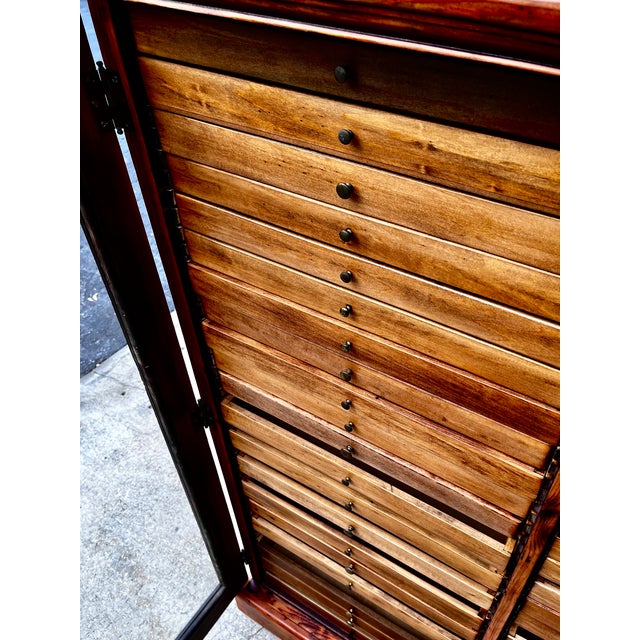Brown Antique Collector's or Specimen Cabinet | Late 19th Century For Sale - Image 8 of 18
