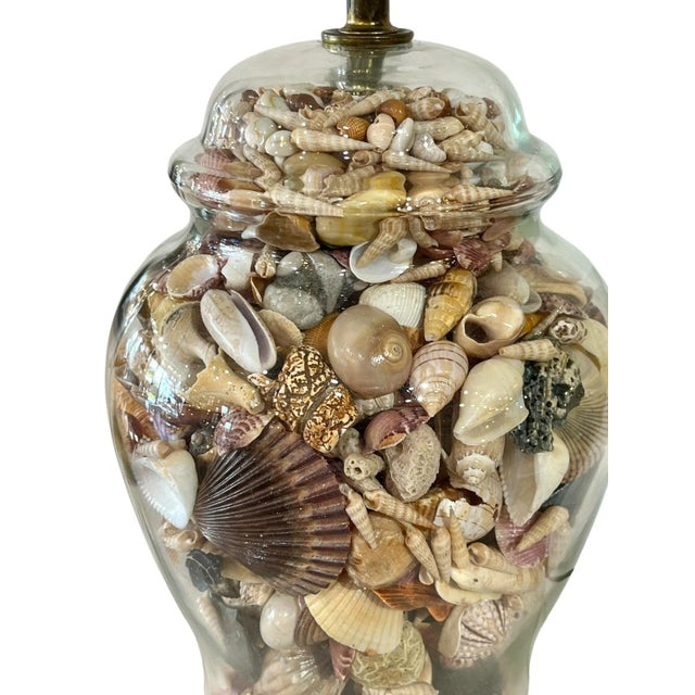 Brass Vintage Glass Ginger Jar Shell Filled Lamp For Sale - Image 8 of 18