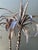 Vintage Italian Silver Tole Palm Tree For Sale - Image 11 of 12