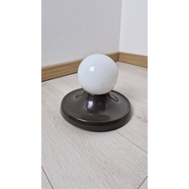 Wall Lamp with Brown Light Ball by Achille and Piergiacomo Castiglioni for Arteluce, 1970s For Sale - Image 12 of 12
