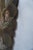 19th C Hand Painted Mirror With Angels by Mla For Sale - Image 18 of 18