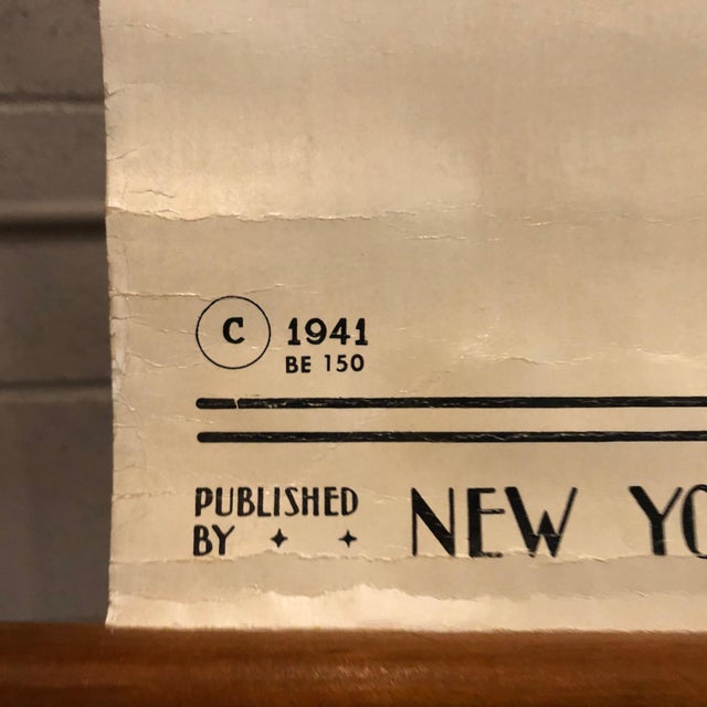 Wood Mid 20th Century Educational Botanical Spirogyra Biology Chart by New York Scientific Supply Co. For Sale - Image 7 of 12