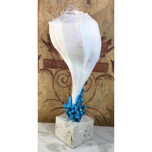 Contemporary Seashell & Turquoise Stone by Joseph Malekan For Sale - Image 10 of 13