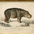 Contemporary Contemporary Reproduction of Vintage Framed Hippo Giclee Print For Sale - Image 3 of 4