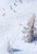 A Group Of Skiers On The Piste by Toni Frissell A group of skiers on the piste at the St. Anton ski resort, Austria, 1955....