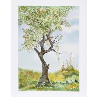 Fioravanti Cherry Tree in Norwood Glen, Lithograph For Sale