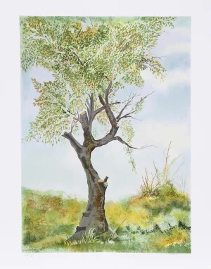 Fioravanti Cherry Tree in Norwood Glen, Lithograph