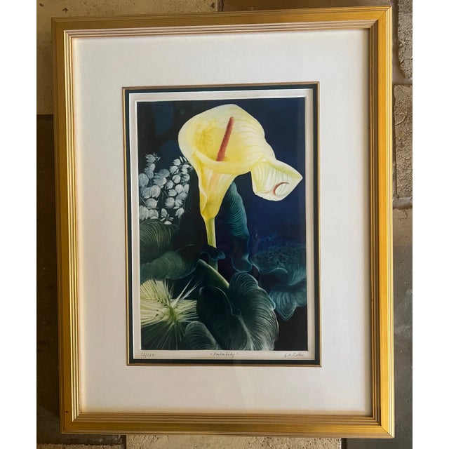 Modern Signed Mezzotint by g.h. Rothe, Titled Calalily For Sale - Image 3 of 12