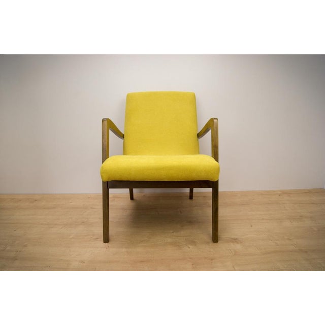 Wood Set of Type 300-138 Beech Armchairs from Bystrzyckie Furniture Factory, 1960s For Sale - Image 7 of 10