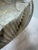 Italian Murano Glass Cartoccio Seashell Centerpiece Bowl For Sale - Image 3 of 12