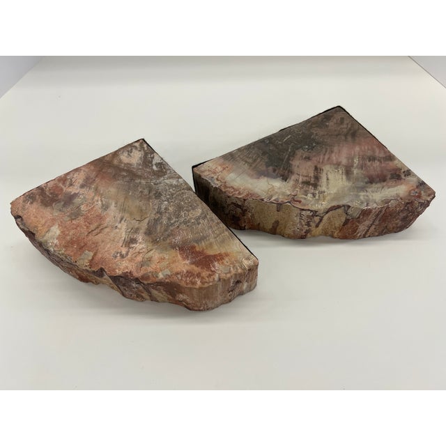 Brown Pair of Petrified Wood Bookends – Large Bookmatched Fossil Wood Slabs – Organic Modern / MCM Shelf Decor For Sale - Image 8 of 9