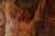 Diaz, Study of Nude Figures, Oil on Panel For Sale - Image 3 of 14